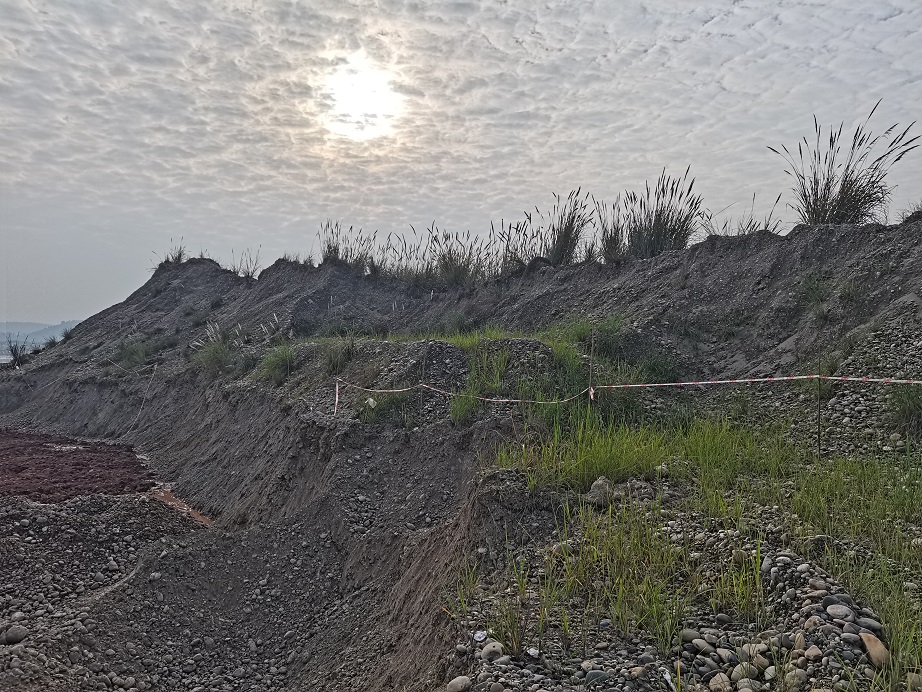 砂石拍賣(mài)公告